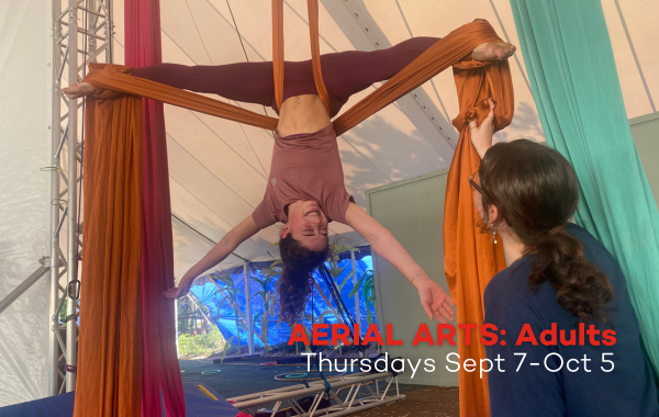 Aerial Arts: Adults