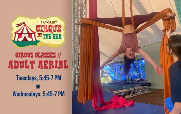 Circus Classes // Adult Aerial