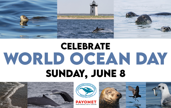 World Ocean Day: Poetry Event