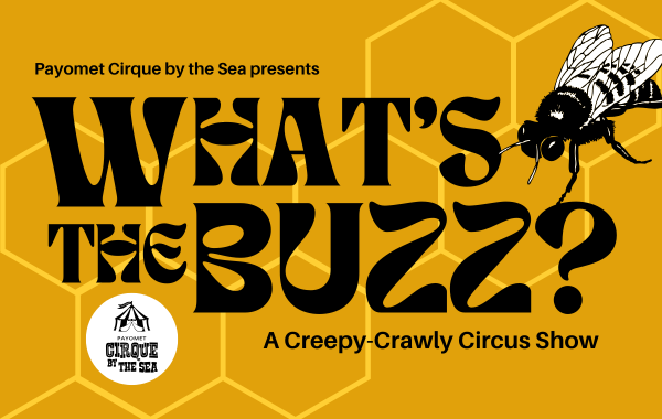 What's the Buzz? A Creepy Crawly Circus Show