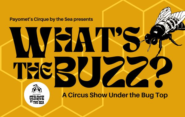 What's the Buzz? A Circus Show Under the Bug Top